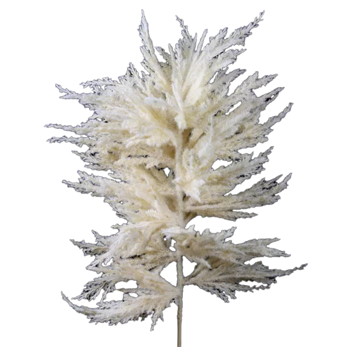 Pampas Gras Zweig