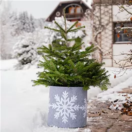 Deko-Filz-Topfschutz Deko-Filz-Topfschutz