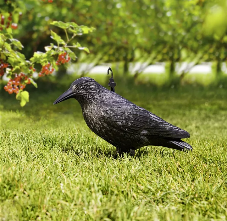 Gartenfigur Rabe