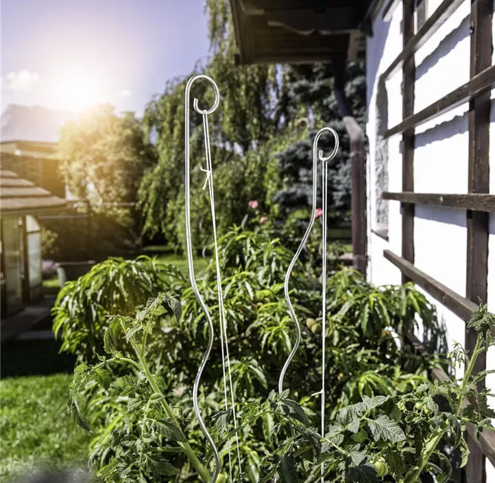 Tomatenspiralstab mit Haken Tomatenspiralstab mit Haken