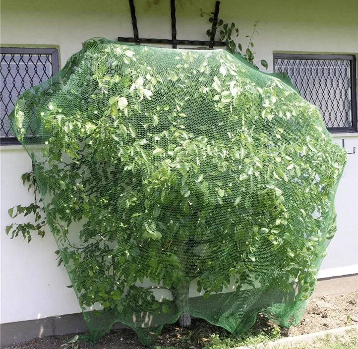 Vogelschutznetz