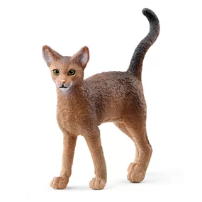Abessinierkatze