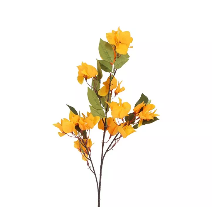 Drillingsblume