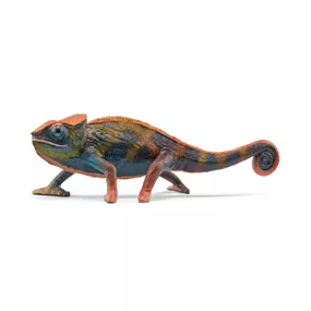 Chamaeleon