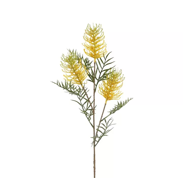 Grevilea