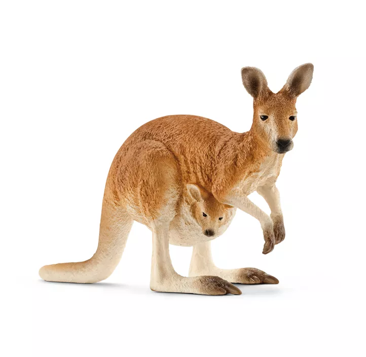 Känguru