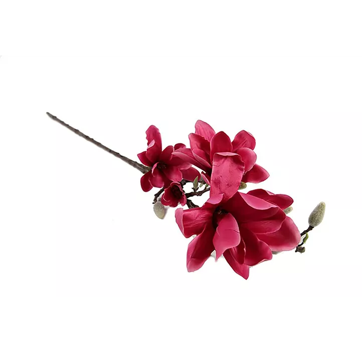 Magnolienzweig Chayca