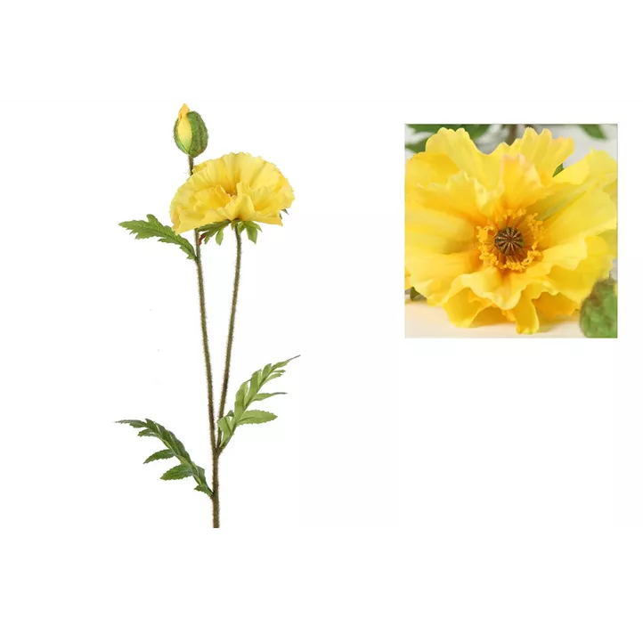 Mohn Vere
