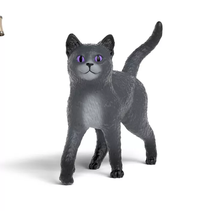 Schule der magischen Tiere - Kater