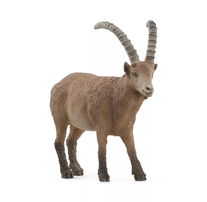 Steinbock