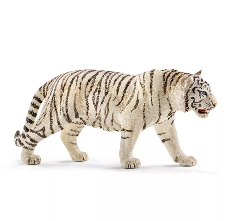 Tiger, weiß