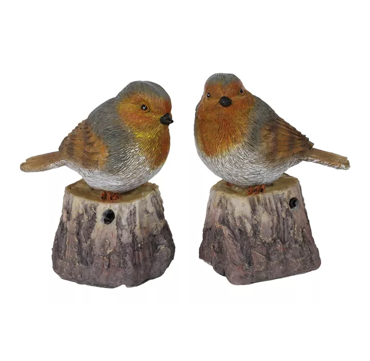 Vogel mit Klang Robin