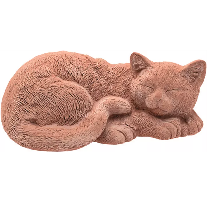 Katze schlafend