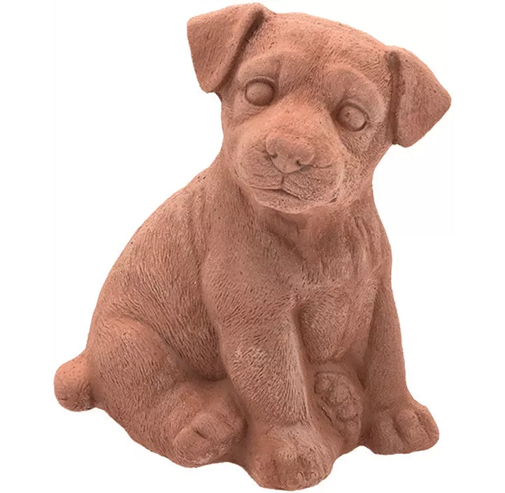 Labrador Baby