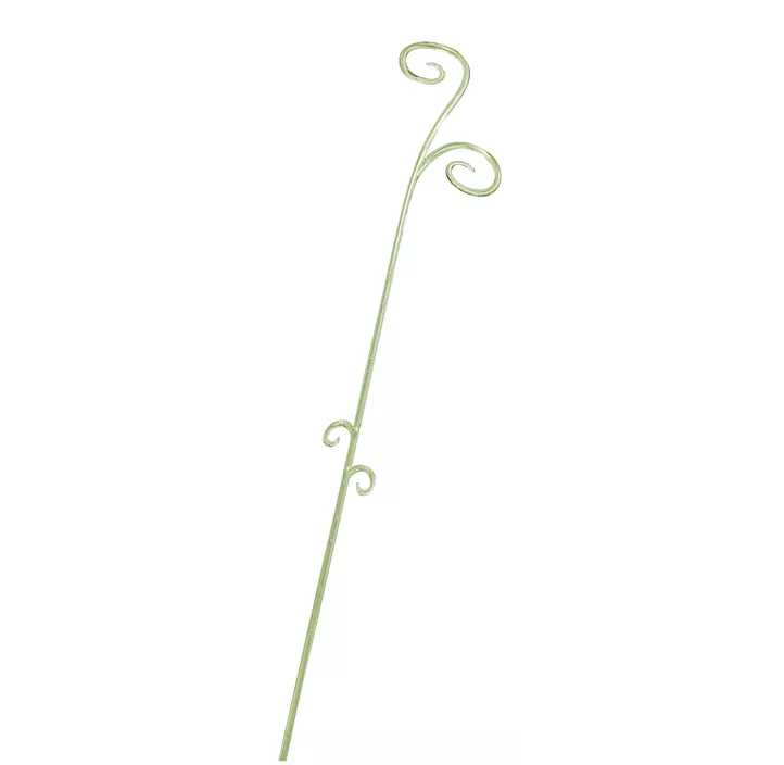 Orchideenstab