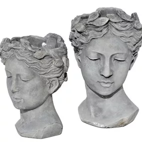 Pflanzkopf Helena Pflanzkopf Helena