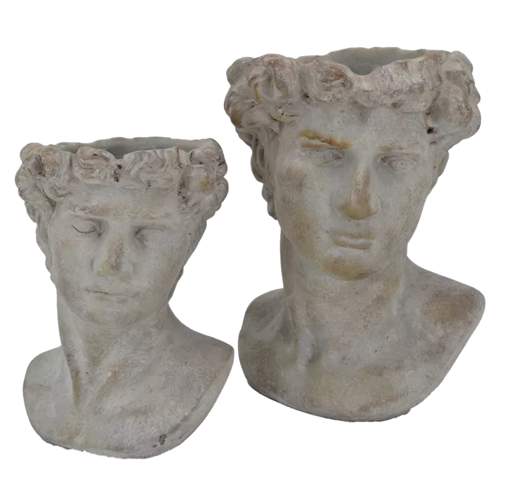 Pflanzkopf Helios