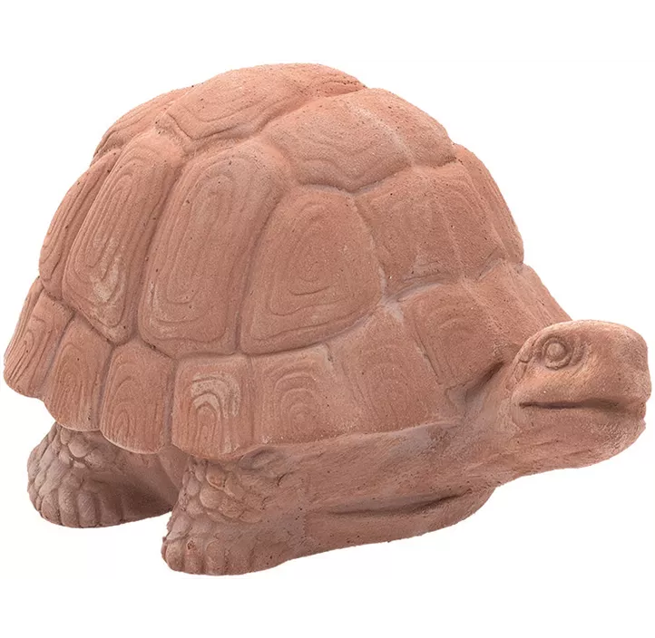 Schildkröte