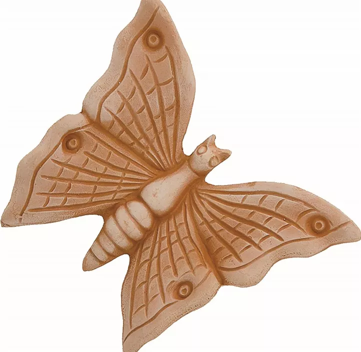 Schmetterling
