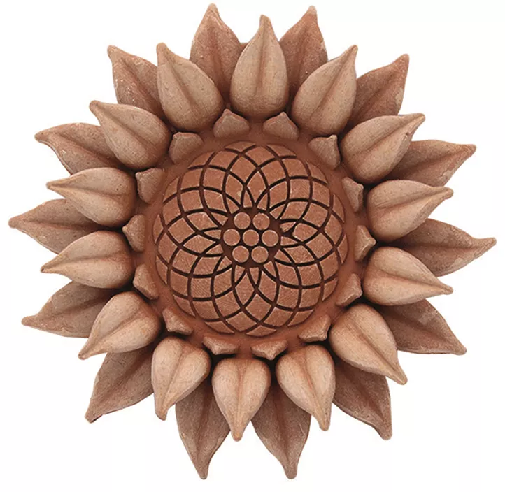 Sonnenblume