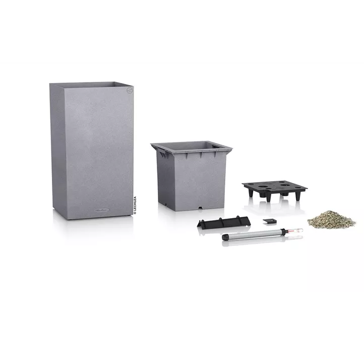 Canto Stone high