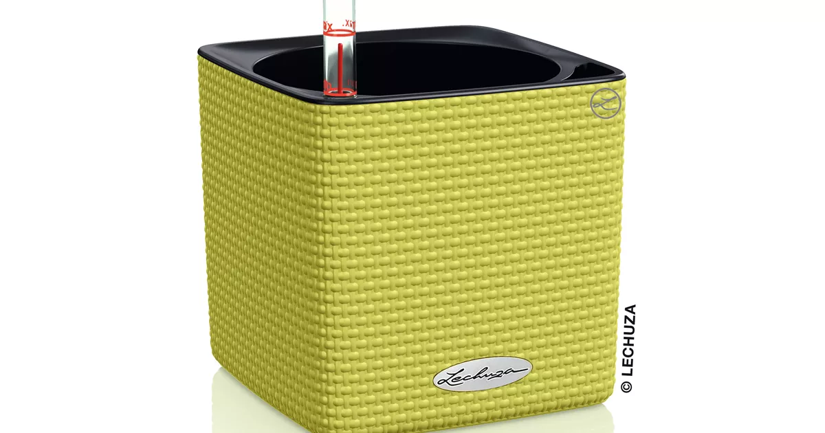 Cube Color Komplettset - Bellaflora