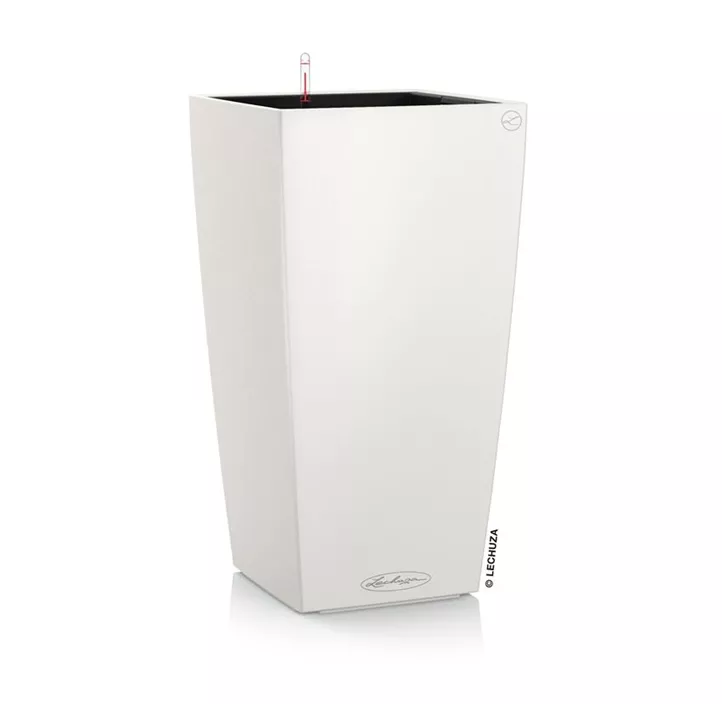 Lechuza Cubico Color Komplettset