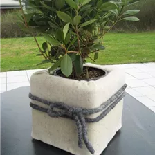 Winterschutz