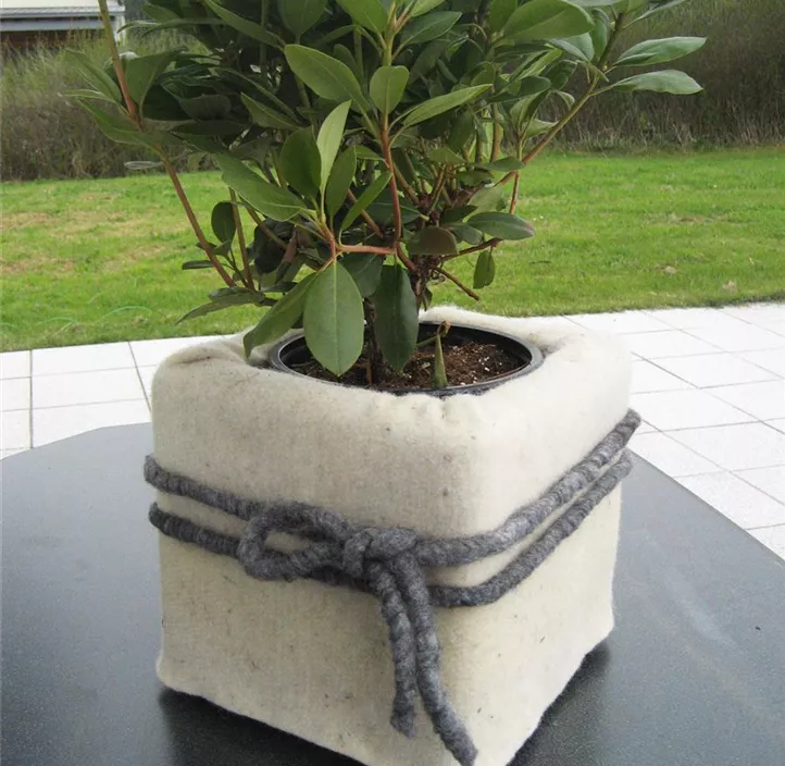 Winterschutzmatte Schafwollfilz