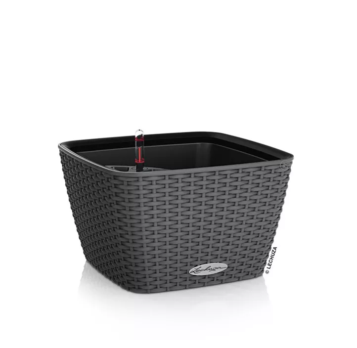 Lechuza Schale Bacino Cottage Komplettset
