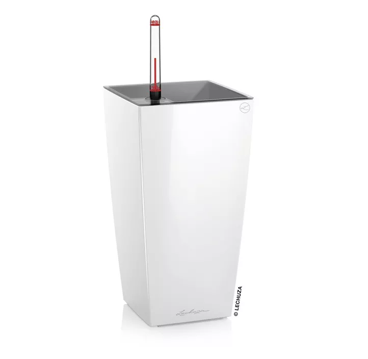 Maxi-Cube