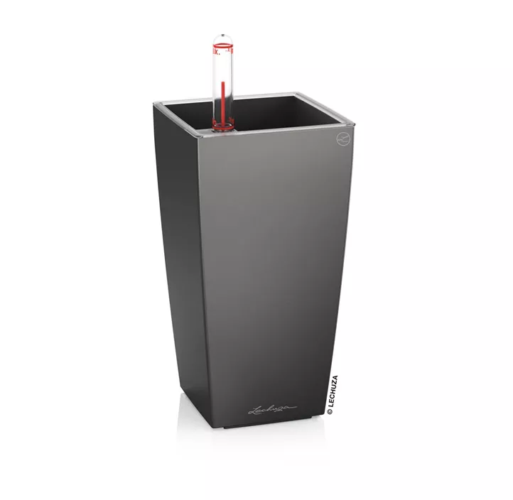 Mini-Cubi