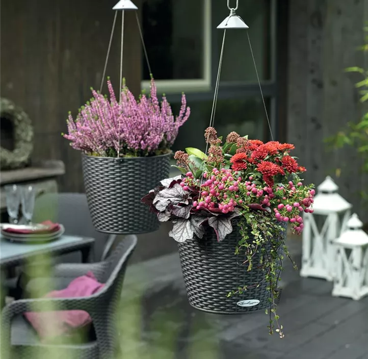 Nido Cottage Komplettset