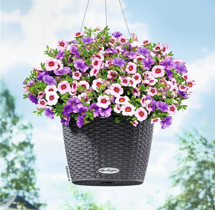 Nido Cottage Komplettset