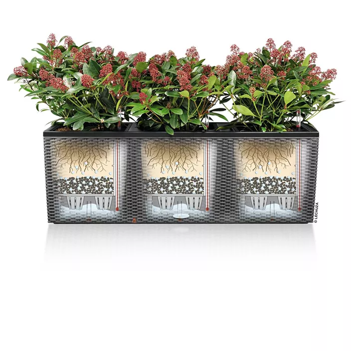 Trio Cottage Komplettset (Lechuza)