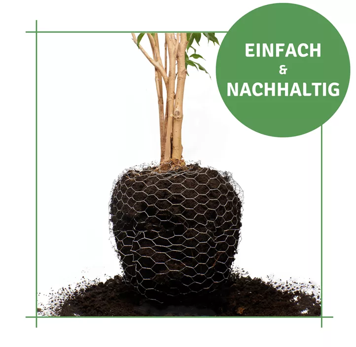Wühlmauskorb aus Drahtgeflecht