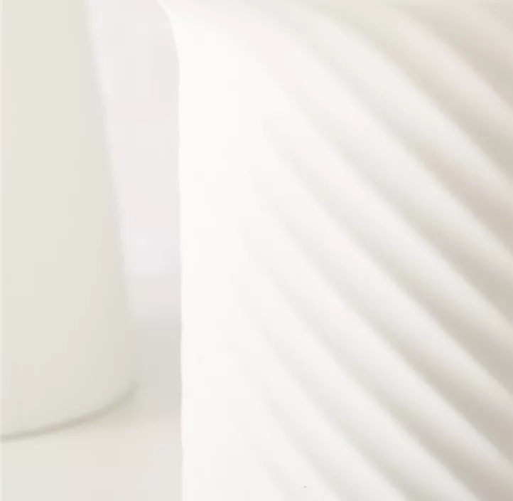 Dekopilz Rayno LED