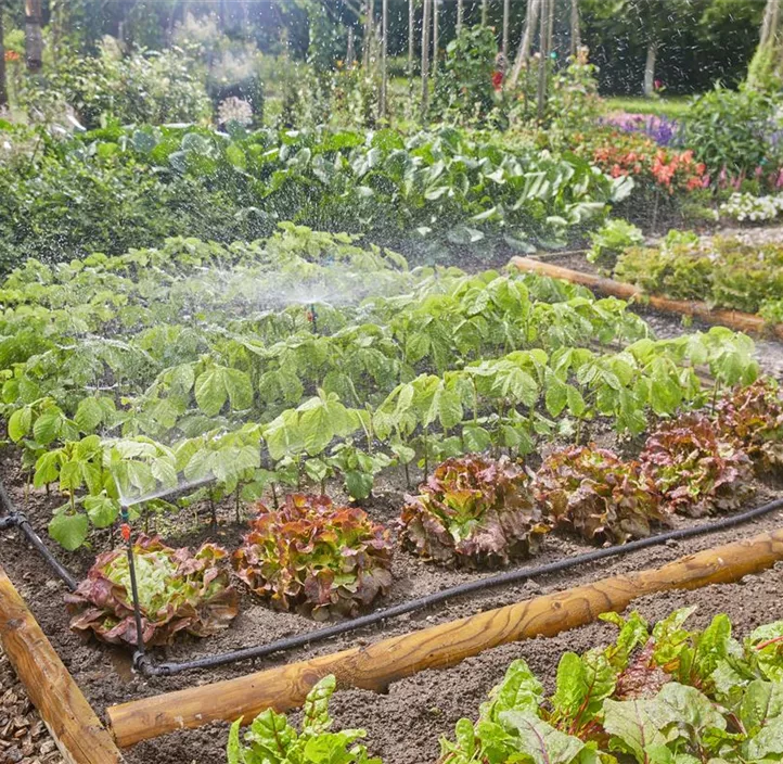 Micro-Drip-System Gemüse-/Blumenbeet
