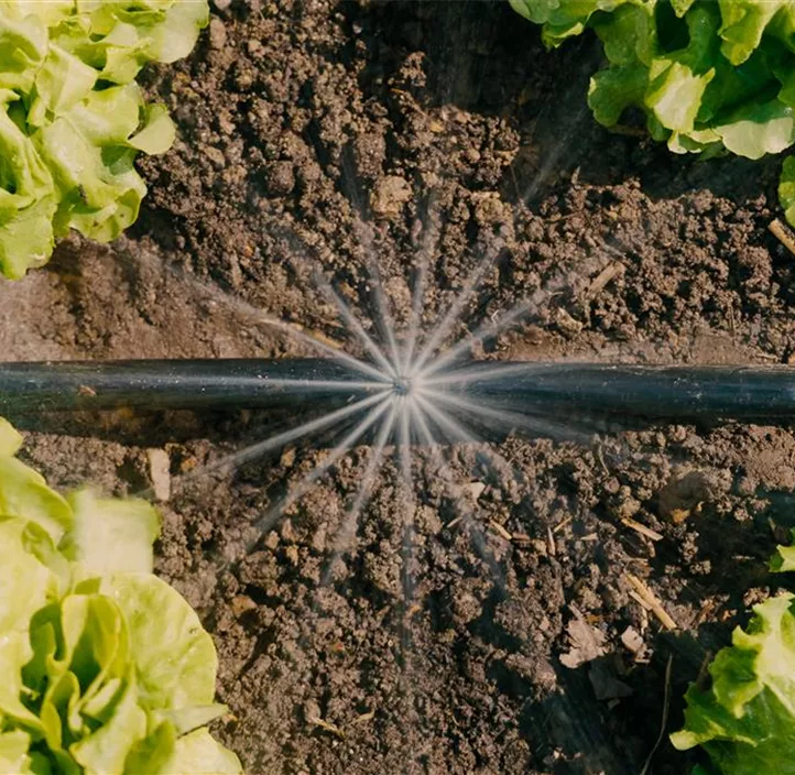 Micro-Drip-System Gemüse-/Blumenbeet