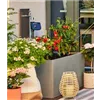 bellaflora Gartencenter GmbH