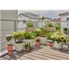 bellaflora Gartencenter GmbH