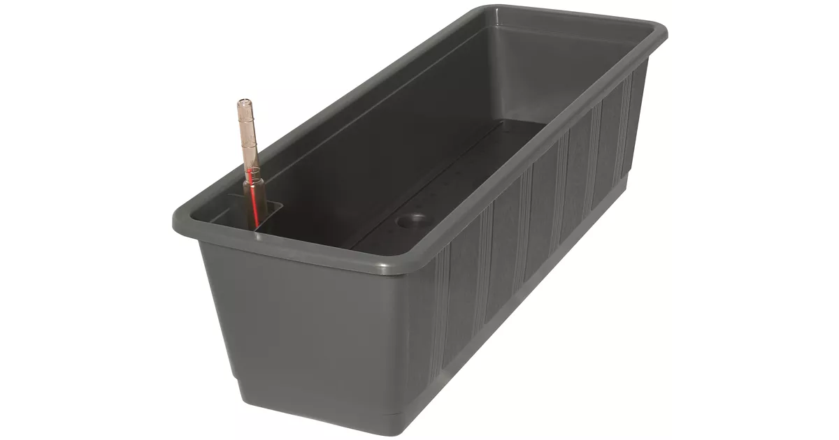 pflanztpfe aquarium Glas Cup Topf mit Saugnpfen fr Aquarium Pflanzschale und Deko