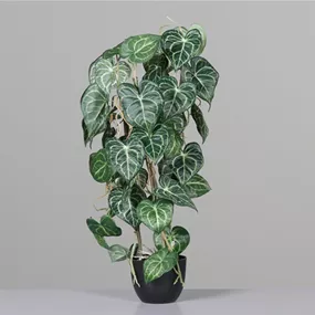 Blatt Anthurien Ranke im Kunststofftopf