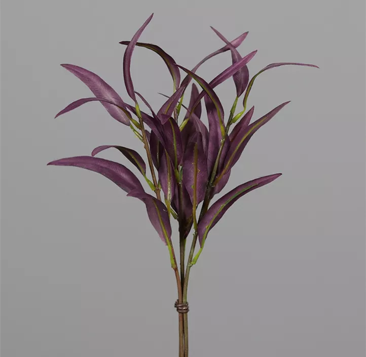 Eukalyptus Bund x3