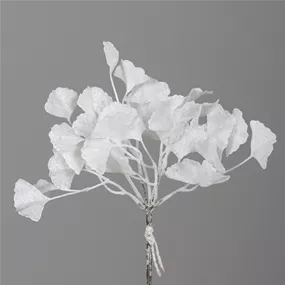 Ginkgo-Pick x3