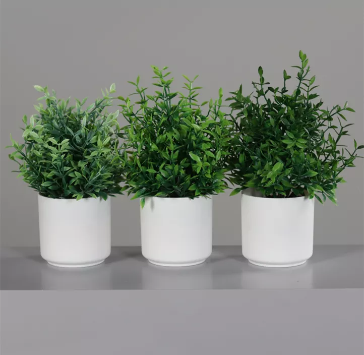 Grün Mix Arrangement im Kunststofftopf