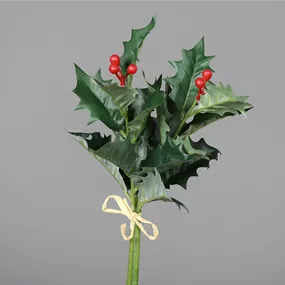 Ilex mit Beeren