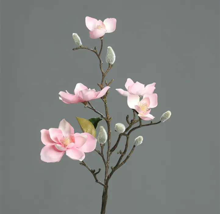 Magnolie