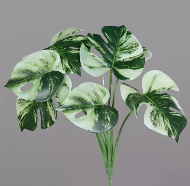 Monstera Pick mit 7 Blättern