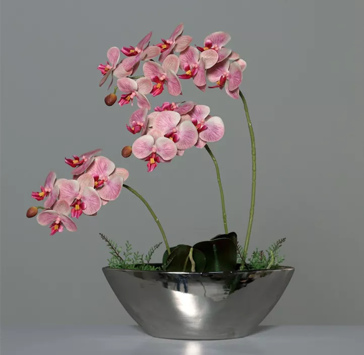 Orchidee in silberner Keramikschale